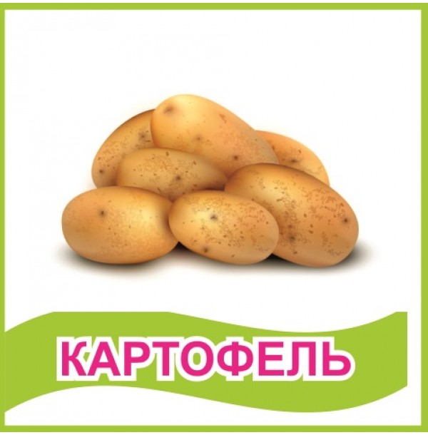 Табличка "Картофель"