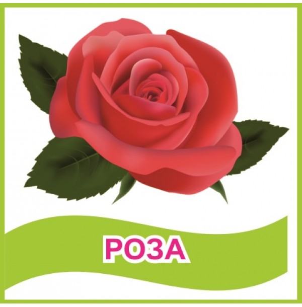 Табличка "Роза"